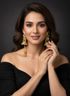 Kavya Kashmiri Earrings (Blue)